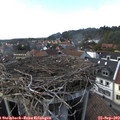 17_00-nest.jpg