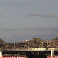 17_10-mast.jpg