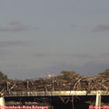 17_15-mast.jpg