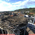 17_15-nest.jpg
