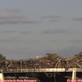 17_20-mast.jpg