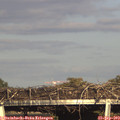 17_30-mast.jpg