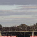17_40-mast.jpg