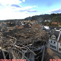 17_45-nest.jpg