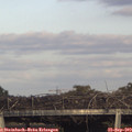 17_50-mast.jpg