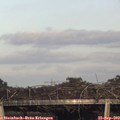 17_55-mast.jpg