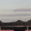 18_00-mast.jpg