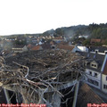 18_00-nest.jpg