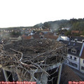 18_10-nest.jpg