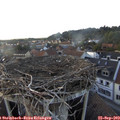 18_15-nest.jpg