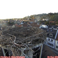18_20-nest.jpg