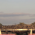 18_25-mast.jpg