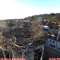 18_35-nest.jpg