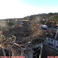 18_40-nest.jpg