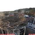 18_45-nest.jpg