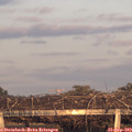 18_50-mast.jpg
