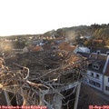 18_50-nest.jpg