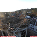 18_55-nest.jpg