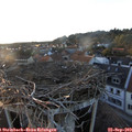 19_00-nest.jpg
