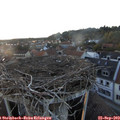19_05-nest.jpg