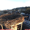 07_25-nest.jpg