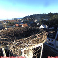 07_50-nest.jpg