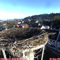 08_00-nest.jpg