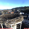 08_10-nest.jpg