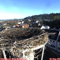 08_15-nest.jpg