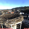 08_20-nest.jpg