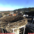 08_25-nest.jpg
