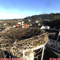08_30-nest.jpg