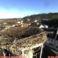 08_35-nest.jpg