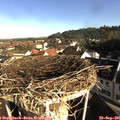 08_40-nest.jpg