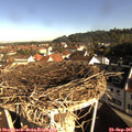 08_55-nest.jpg