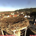 09_05-nest.jpg