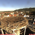 09_25-nest.jpg