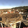 09_35-nest.jpg