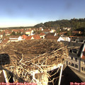 09_45-nest.jpg