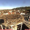 09_50-nest.jpg