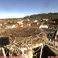 09_55-nest.jpg