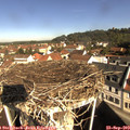 10_05-nest.jpg