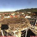 10_10-nest.jpg