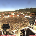 10_20-nest.jpg