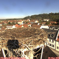 10_35-nest.jpg