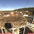 10_40-nest.jpg