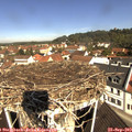 10_50-nest.jpg