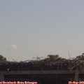 11_00-mast.jpg