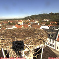 11_00-nest.jpg