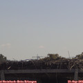 11_15-mast.jpg